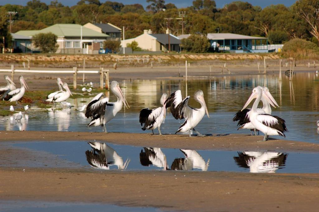 Meningie Waterfront Motel Exterior photo